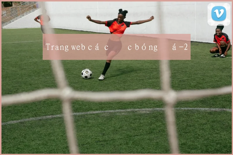 Trang web cá cược bóng đá