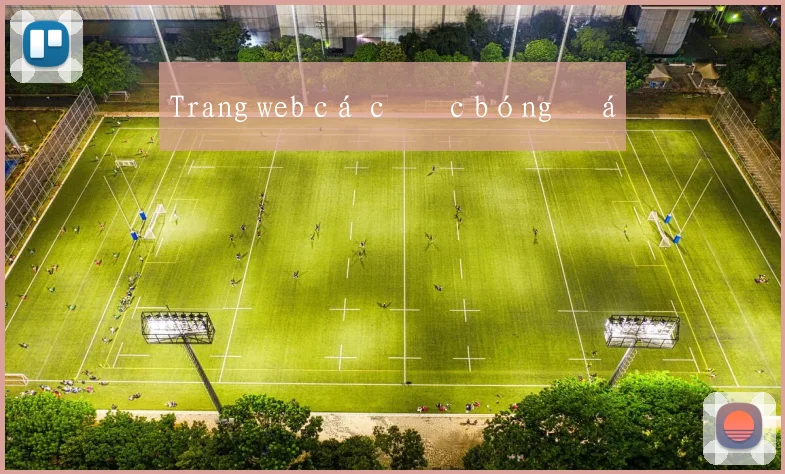 Trang web cá cược bóng đá
