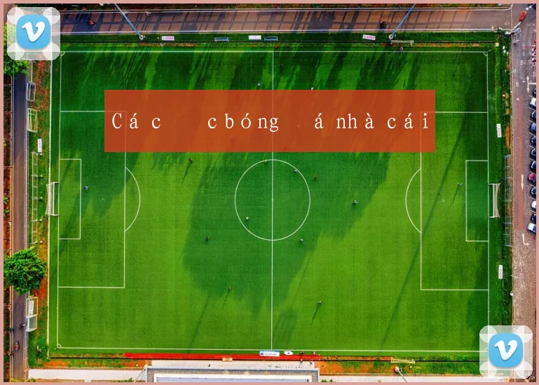 Cá cược bóng đá nhà cái