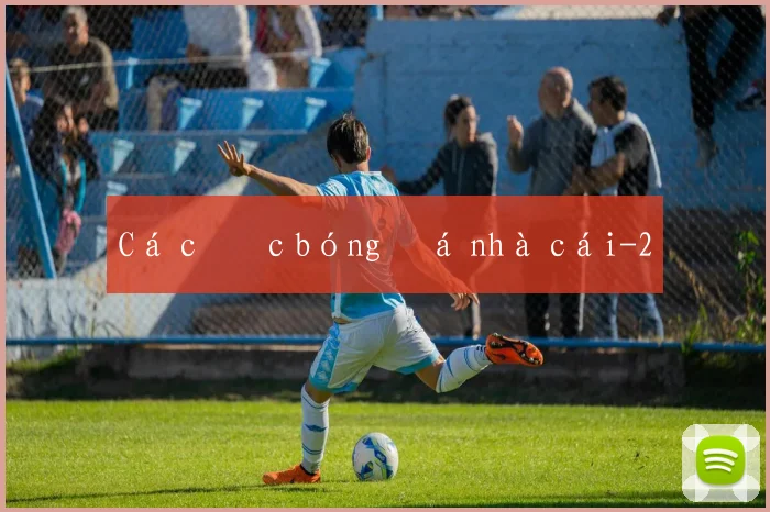 Cá cược bóng đá nhà cái