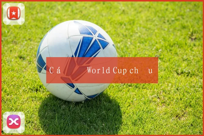 Cá độ World Cup châu Á
